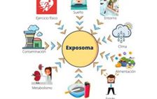 Exposoma - exposición química