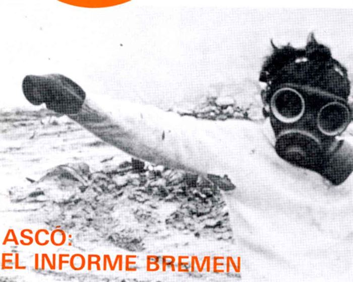 1982 Informe Bremen