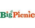 Big Picnic