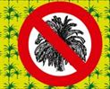 No al aceite de palma