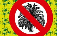 No al aceite de palma