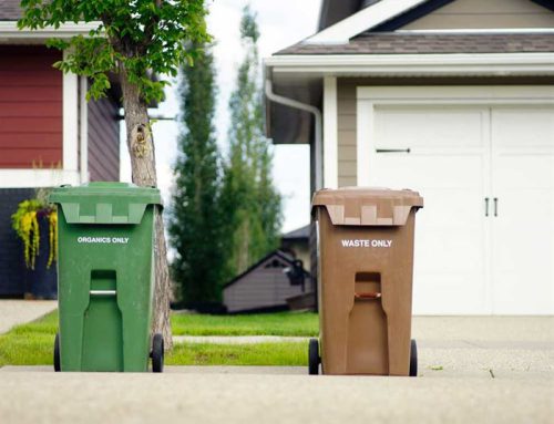 Las ciudades sostenibles y la importancia de la gestión de residuos