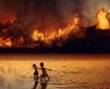 Incendio Amazonia