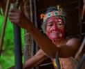 Indígena adulto