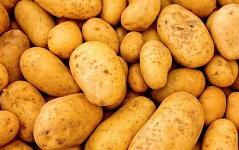 Patatas