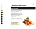 5 Pasos para cultivar tus alimentos