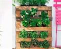 Jardín vertical