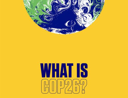 Termina la COP nº 26: ¿cómo empezó todo?