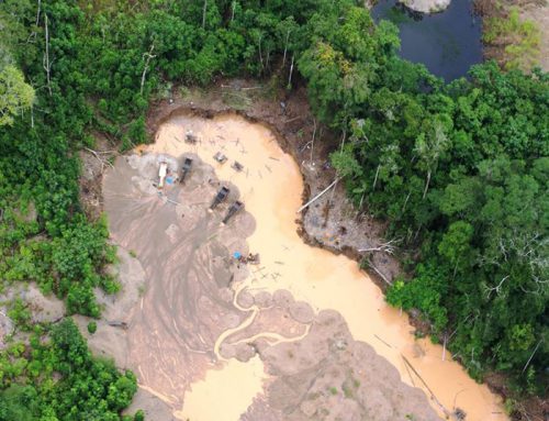 Desastre ecológico en el Amazonas: ¿cómo podemos actuar?