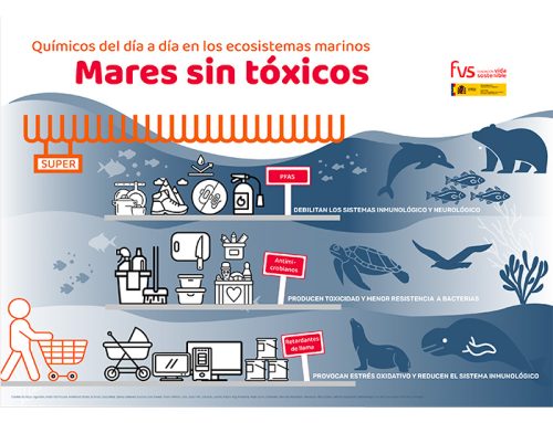 Mares sin tóxicos: químicos del día a día en los ecosistemas marinos