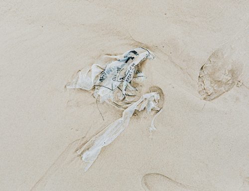 El reto de la transición energética: consumo, recursos y justicia global