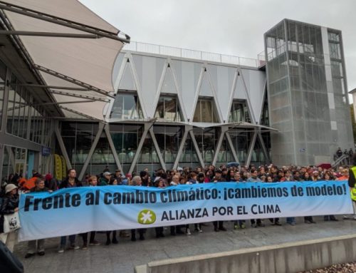 Tras la COP30, cómo participar en la transición ecológica justa