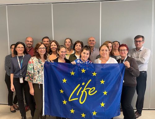 Formación para una construcción más sostenible