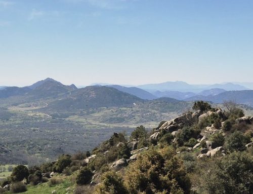 Cuidar la biodiversidad, proteger nuestro futuro