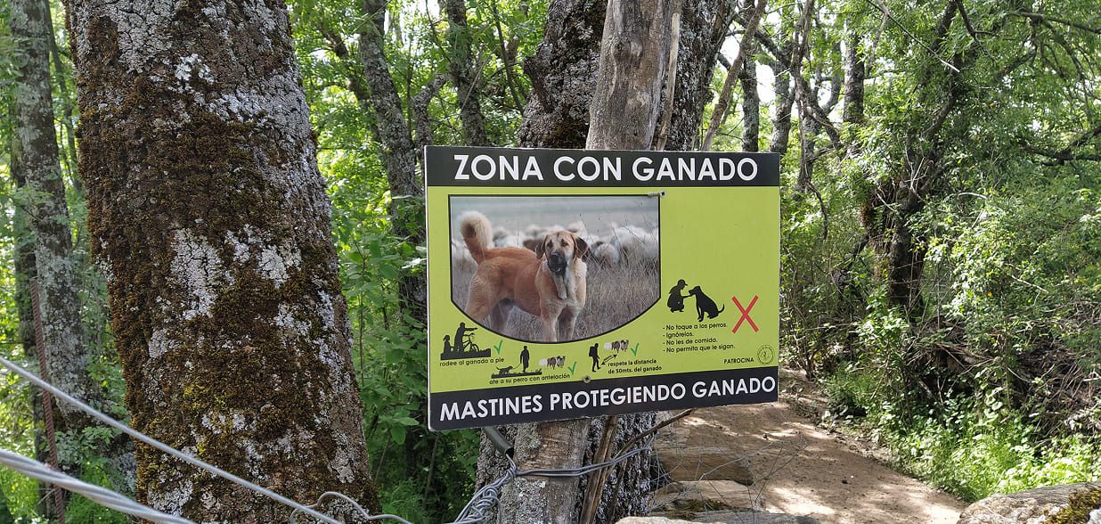 Cartel de Zona de Ganado