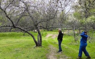 Fresneda en Granja Prados Montes.