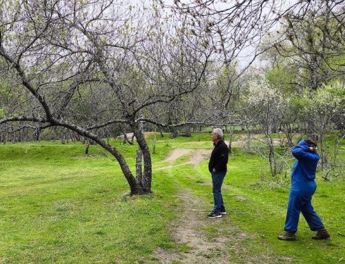 Reducir no es retroceder