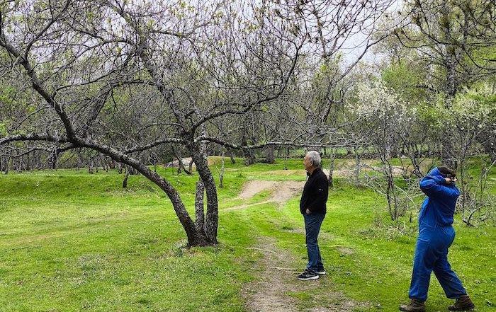 Fresneda en Granja Prados Montes.