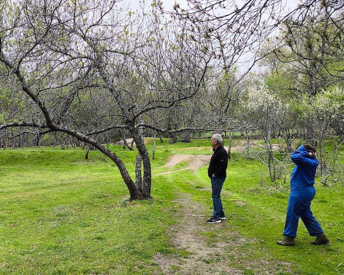 Fresneda en Granja Prados Montes.