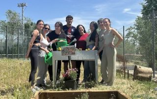 Cultivo de jardines para polinizadores en IES Ciudad Escolar