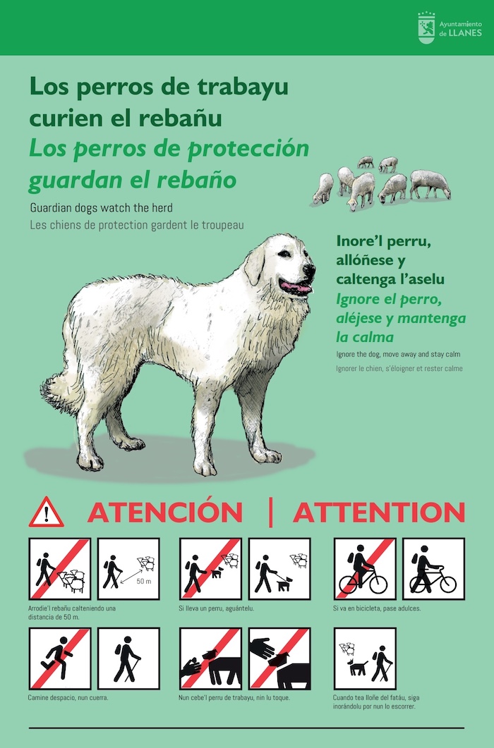 consejos para la mejor convivencia entre senderistas y perros pastores. Ayto. de Llanes Consejos para la mejor convivencia entre senderistas y perros pastores